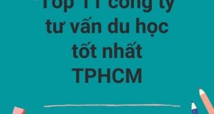 Top 11 công ty tư vấn du học tốt nhất TPHCM